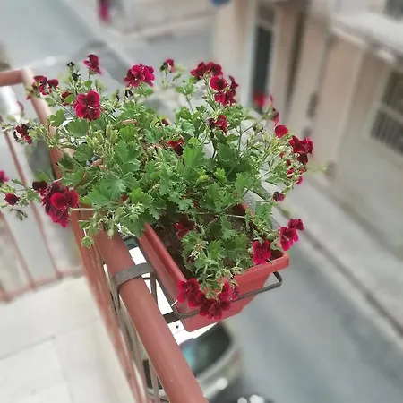 לינה וארוחת בוקר Il Gelsomino