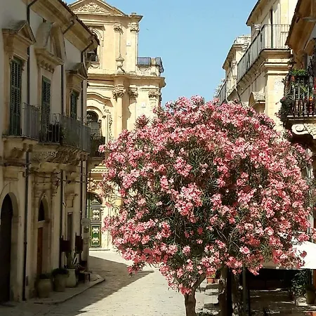 Il Gelsomino לינה וארוחת בוקר שיקלי